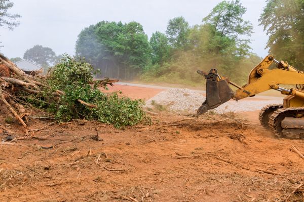 Ground Clearing in Niagara Falls