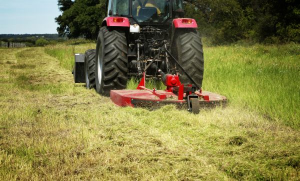 Brush Clearing Service in Niagara Falls