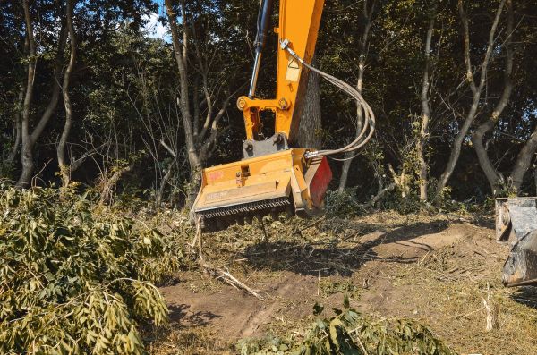 Brush Removal Service in Niagara Falls