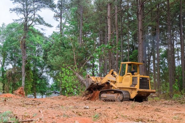 Cost of Property Clearing in Niagara Falls