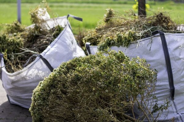 Cost of Bushes Clearing in Niagara Falls